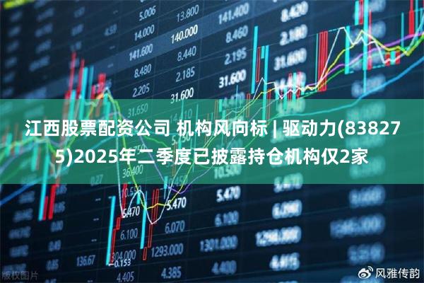 江西股票配资公司 机构风向标 | 驱动力(838275)2025年二季度已披露持仓机构仅2家