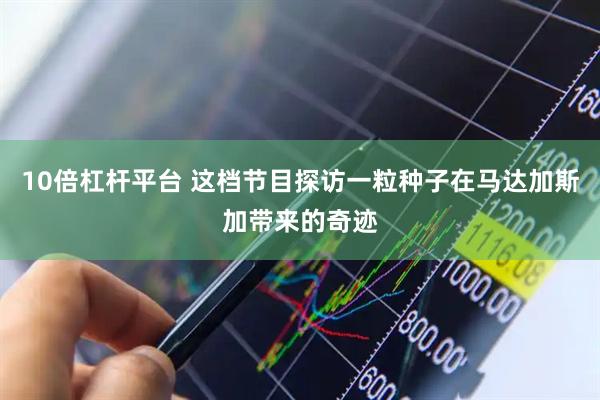 10倍杠杆平台 这档节目探访一粒种子在马达加斯加带来的奇迹