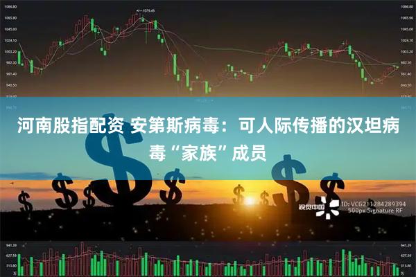 河南股指配资 安第斯病毒：可人际传播的汉坦病毒“家族”成员