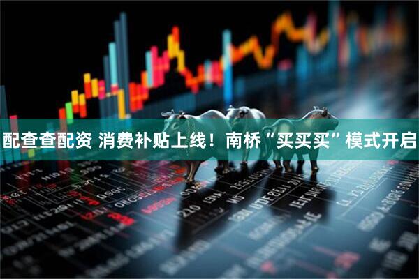 配查查配资 消费补贴上线！南桥“买买买”模式开启
